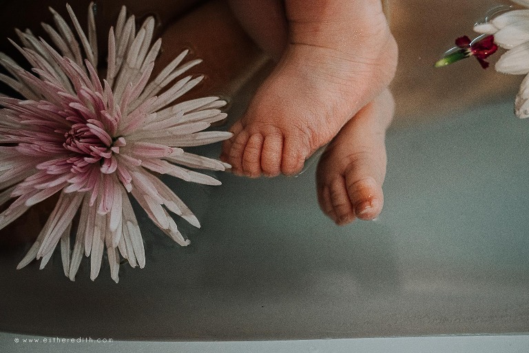 under water birth photography, under water herbal bath, under water photography spokane