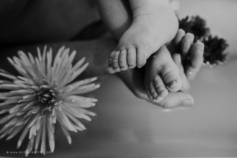 under water birth photography, under water herbal bath, under water photography spokane