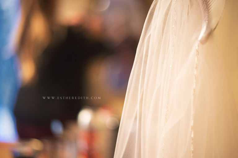 Wedding Photography Esther Edith galleries, Pat's Barn Troy NY, Winter Wedding
