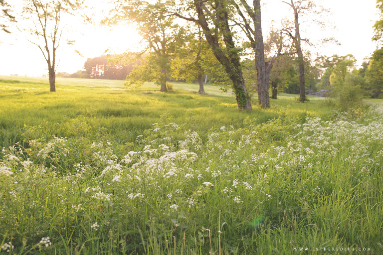 Babywearing Photography by Esther Edith Photography and Doula, carry them close, pavo textiles, pavo hanakotoba vireo