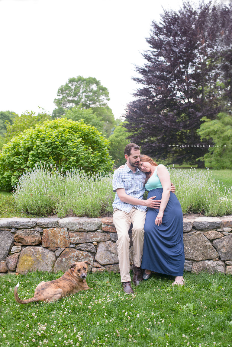 Maternity Photographer Massachusetts, Boston Arnold Arboretum Maternity Photos, baby bump, pregnancy, maternity couple