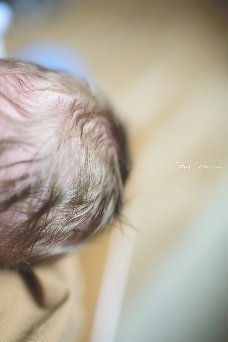 fresh 48, early hours, birth photographers spokane, birth photos spokane washington, coeur d'alene fresh 48, kirkland fresh 48, birth photography spokane washington, spokane birth photographers, esther edith, spokane doula